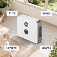 Batterie LiFePO4 51,2 V 600 Ah 30,72 kWh, système de stockage d'énergie domestique, écran tactile, surveillance par application, communication CAN, certifiée CE