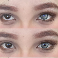 Nouvelles extensions de cils bruns bouclés, bande transparente, naturelles, réalistes, monobloc, douces et séduisantes