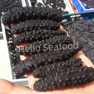 Professional <b>Chef</b> Quality Dried Sea Cucumber for Fine Dining Recipes - Product Image 6