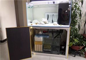 Système de cadre de profilé en aluminium extrudé personnalisé Étagère d'<span class=keywords><strong>aquarium</strong></span> pour <span class=keywords><strong>aquarium</strong></span> - Product Image 2