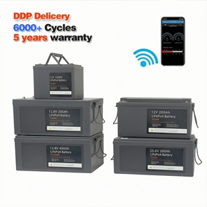 Les meilleures batteries au lithium-fer de 12 volts, 24 volts, 48 volts, 200 Ah, avec Bluetooth, batteries au phosphate - Product Image 6