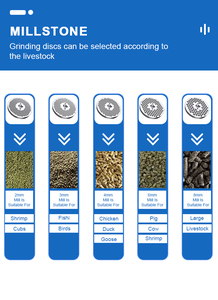 Macchina per Pellet Storsen per Uso Domestico, Tensione Personalizzabile 220V/380V, Pelletizzatore Multifunzionale - Product Image 5