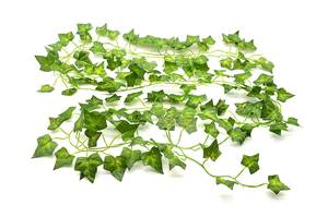 Senmasine Transporte Rápido Verde Hera Artificial Videiras Batata Doce/Uva/Melancia Folhas Plantas Penduradas Guirlanda Plástico Durável - Product Image 3