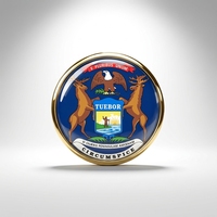 GREPAS GIFTS Épinglette drapeau du Michigan ronde de 1 pouce, épinglette patriotique mondiale pour chapeau