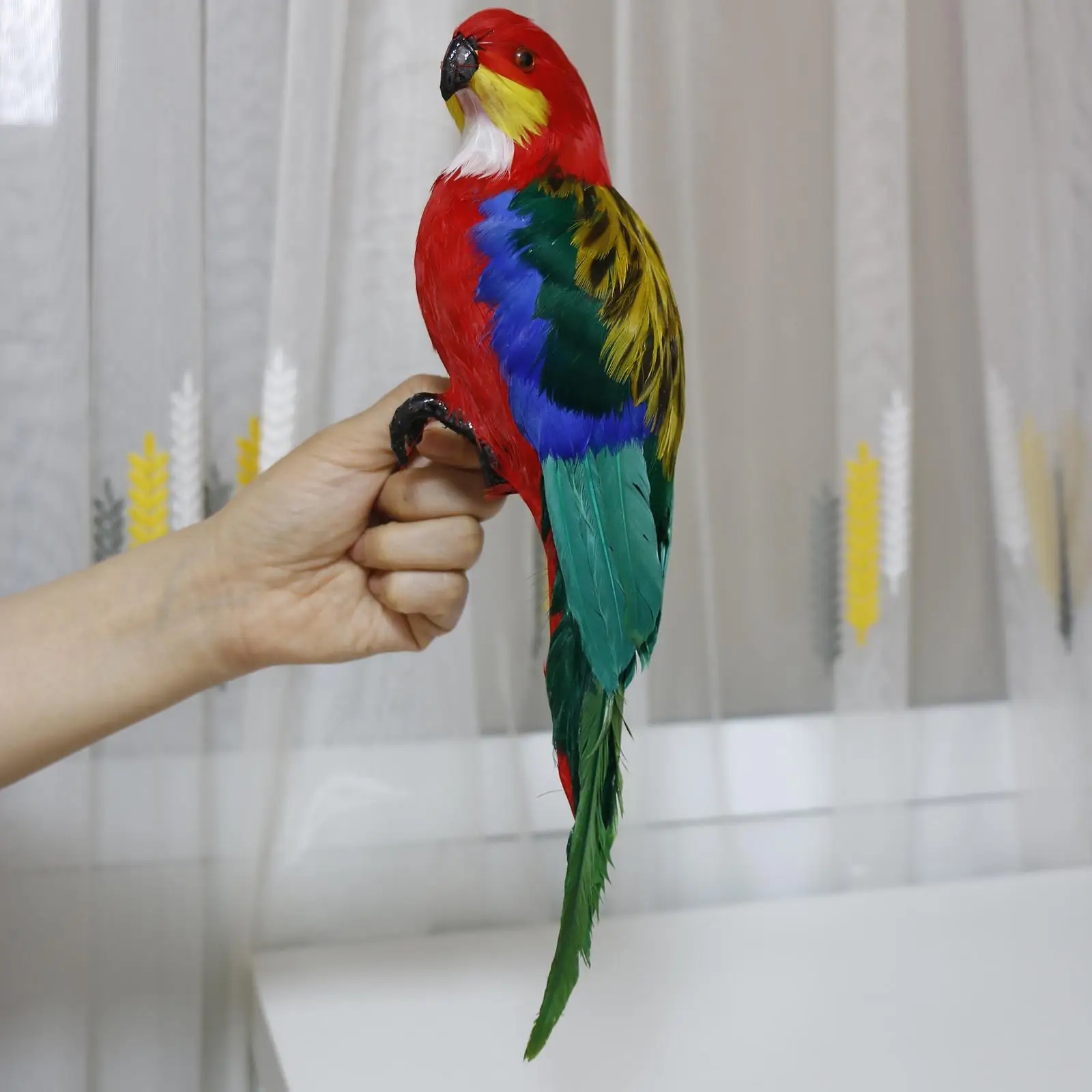 Macaw Exotic Wings And Things Birds For Sale Macaw Parrot Prices