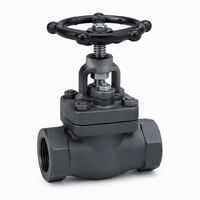 Vanne à soupape en acier forgé 2 pouces NPT A105 300 PSI avec volant fileté pour pipeline de vapeur