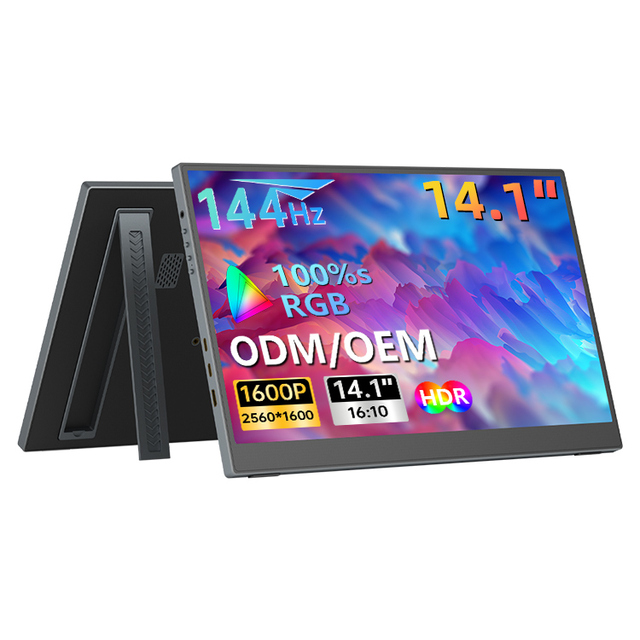 Portable Touchscreen Monitor 14 15.6 18.5 Inch 100Hz FHD 1080P IPS USB-C Lightweight Second Screen OEM ODM