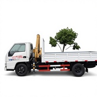 Grue de camion diesel JMC4x2 avec moteur Isuzu, flèche articulée hydraulique de 5 tonnes, rotation à 360°, bras télescopique de 2 tonnes, prix d'usine