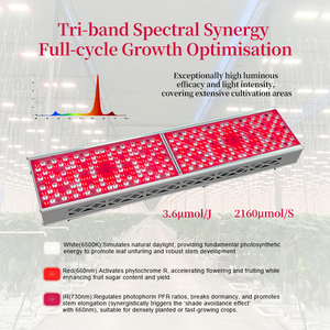 ไฟ LED PPE 3.6 umol/<span class=keywords><strong>j</strong></span> 300W 600W ผักกาดหอมมะเขือเทศเรือนกระจกตัดสตรอเบอร์รี่ - Product Image 3