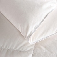 Couette personnalisée avec logo, 70 % duvet de canard blanc, insert de couette de luxe pour hôtel, couette chaude d'hiver, noyau de couette, fournisseur de literie