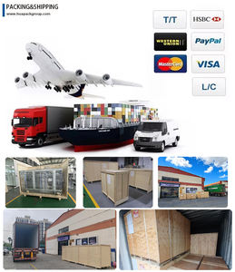 Machine de comptage et d'emballage entièrement automatique pour granulés, pilules, capsules d'huile de poisson, gélules de vitamine E, emballage en sachet refermable pré-fabriqué - Product Image 6