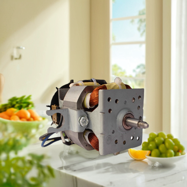 Home Appliances AC/DC Universal Blender Motor FC