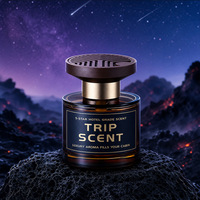 Diffuseur de parfum d'ambiance de luxe personnalisé pour la maison, ensemble de diffuseurs à bâtonnets en verre, huile essentielle, désodorisant d'air - Parfum longue durée, coffret cadeau