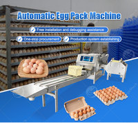 Ligne de lavage d'œufs de volaille haute capacité, ligne de production de lave-œufs commerciale, ligne de lavage et de triage d'œufs entièrement automatique