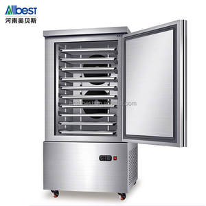 Congelador de Acero Inoxidable de Baja Temperatura, Modelo AB-10C-45, Sin Escarcha, 230L, Comercial, para Hoteles, Plantas de Carne, Servicios de Catering - Product Image 2
