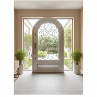 Porte d'entrée double battante en fer forgé avec arche moderne et verre trempé pour villa et maison