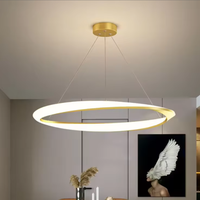 Luminaire suspendu réglable en hauteur, design moderne, anneau LED pour plafond, idéal pour la maison, le bureau ou les projets d'installation.