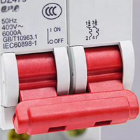 Disyuntor Delixi Dz47s 2P Interruptor de aire C32A Corriente nominal Protección doméstica Fuga Tipo C RCBO/MCB Cobre
