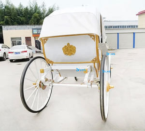 Chariot à chevaux à deux rangées de 4 places/Mini chariot de voyage Offre Spéciale/conducteur peut conduire un chariot touristique à vendre - Product Image 3