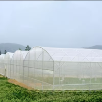 Filet anti-insectes en HDPE pour serre, protection des cultures agricoles, résistant aux UV