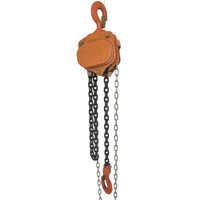 Nouvelle palan manuel à chaîne, capacité 250 kg - 10 tonnes, système de poulie de grue à chaîne de 12 m, construction métallique