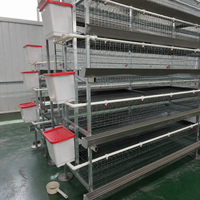 Équipement d'élevage avicole entièrement automatique, cages pour poules pondeuses de type H, fournisseur fabricant