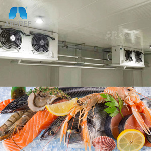 Arkref Lạnh-55 Độ Siêu Nhiệt Độ Thấp Vụ Nổ Cá Ngừ Cá Lạnh Lưu Trữ Tủ Đông Phòng Kho Cho Cá Ngừ - Product Image 2