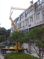 Plate-forme de travail aérien avec capacité de charge de 200kg