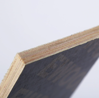 Camelply 4x8 1220x2440mm Contreplaqué filmé écologique imperméable à l'eau, âme en eucalyptus, pour usage extérieur, qualité supérieure, garantie 5 ans, idéal pour villas