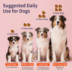 All'ingrosso naturale animale domestico calmante morbido mastica integratore supporto cane ansia Stress e ansia da separazione con melatonina - Product Image 6