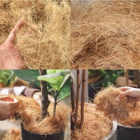 Petite machine à déchiqueter les coques de noix de coco, broyeur de fibres de coque de noix de coco, machine à déchiqueter les noix de coco