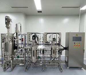 Biorreactor agitado de ingeniería de bioprocesos Reactor de tanque de agitación continua biosíntesis de aminoácidos - Product Image 5