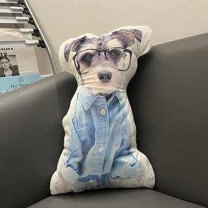 Xxx Kissenbezug Maßgefertigtes Gefülltes Kissen Digitaldruck 100% Polyester Cartoon-Kissen Wohndekorationen - Product Image 1