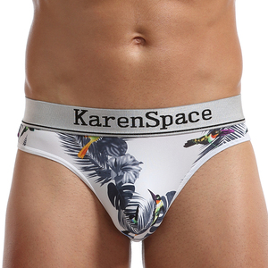La Migliore Vendita di Prodotti Elastico Mens Indossa Mutandine Sexy Perizoma <span class=keywords><strong>con</strong></span> Personalizzato - Product Image 1