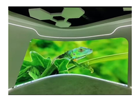 Écran LED flexible intérieur 4K HD Shenzhen MDS avec garantie de 2 ans, prend en charge différents styles