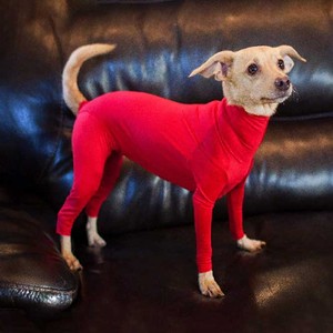 Pull à col roulé chaud pour animaux de compagnie Manteau de corps entièrement couvert Chien Onesie Pyjamas Perte de costume Body Vêtements élastiques Chien Onesie Jumpsuit - Product Image 6