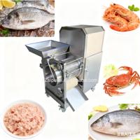Nouvelle machine à filtrer la viande, séparateur d'arêtes de poisson, extracteur de poisson, acier inoxydable 304, garantie 1 an
