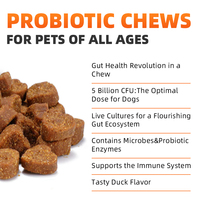 Suppléments probiotiques de marque privée pour animaux de compagnie Pet Yuan suppléments probiotiques avancés à mâcher doux pour chiens chats