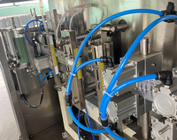 Machine automatique de remplissage et de scellage de liquides pour ampoules en plastique de 10 ml de sirop oral