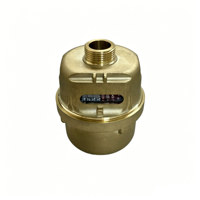 ISO 4064 Class C DN20 Multi-Jet Volumetric Dry Water Meter Brass Body Stainless Steel OEM High Accuracy