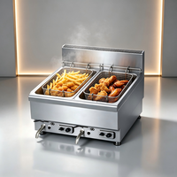 Friteuse professionnelle à gaz double cuve en acier inoxydable pour comptoir, idéale pour la friture de pommes de terre et de poulet