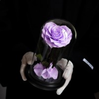 BH Eternal Rose Bunga Mawar Abadi Mawar Abadi dalam Kubah Kaca Mawar Abadi dalam Kubah Kaca