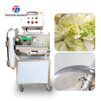 Máquina Industrial Cortadora de Vegetales, Picadora de Hojas de Col, Espinaca y Cebolla, 800KG/H, Planta de Procesamiento de Alimentos, Fábrica OEM
