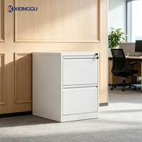 Armoire de classement en acier avec serrure à clé, robuste et résistante, pour les documents officiels des agences gouvernementales, des archives de service public