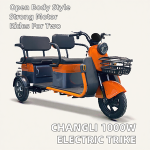 Triciclo Eléctrico <span class=keywords><strong>de</strong></span> 1000W para CHANGLI, Motoneta <span class=keywords><strong>de</strong></span> 3 <span class=keywords><strong>Ruedas</strong></span> Potente con Carrocería Abierta para Adultos, Gran Venta 60V, Carga <span class=keywords><strong>de</strong></span> 400-500 kg - Product Image 2
