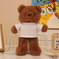 Songshan Jouets Personnalisé Mignon LOGO Ours En Peluche Oreiller 30cm Nouveau T-shirt Décontracté Tissu Poupée En Peluche Animal En Peluche Jouet Cadeau pour Enfants
