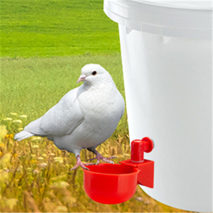 Abreuvoir automatique bleu pour volailles, bol à eau en plastique pour poulets, canards, dindes, élevage avicole - Product Image 6