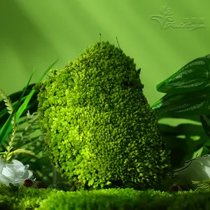 Оптовая продажа, натуральный зеленый стабилизированный консервант, искусственный консервированный мох для декоративных венков и корок