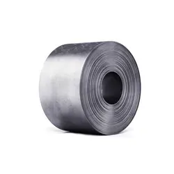 ASTM Grade 201 SS 316 316L 309s 310s 430 410 420 304 Stainless Steel Coil/Strip/Sheet