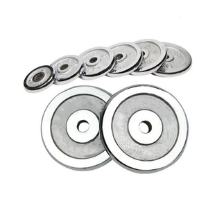 Tạ đòn, tạ tay bằng gang đúc bạc miễn phí, giá rẻ, thiết bị tập thể dục phòng gym với logo tùy chỉnh, loại đĩa tạ có viền bảo vệ - Product Image 2